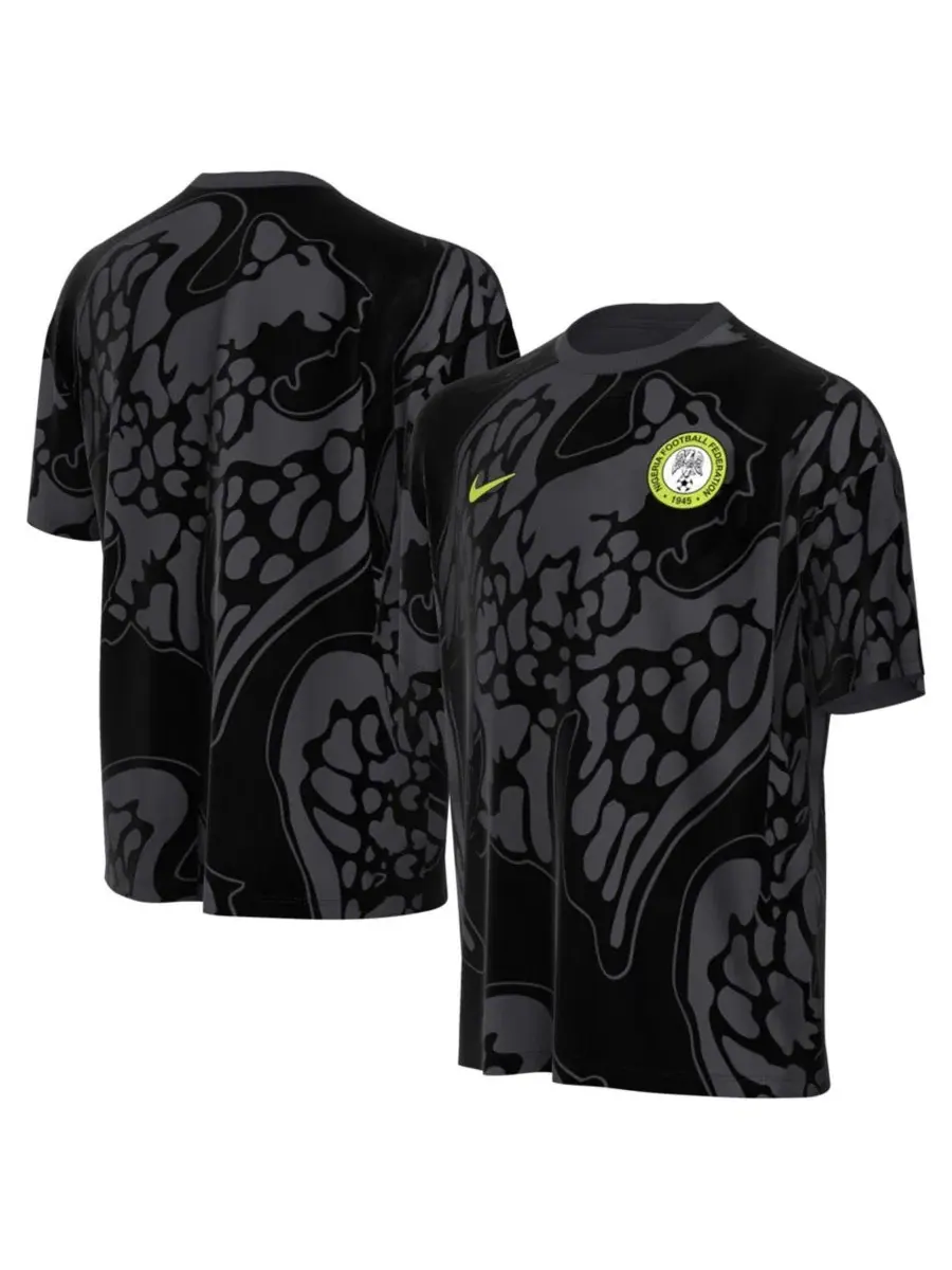 Футболка с принтом Nigeria National Team Nike — изображение 1 из 3, серый