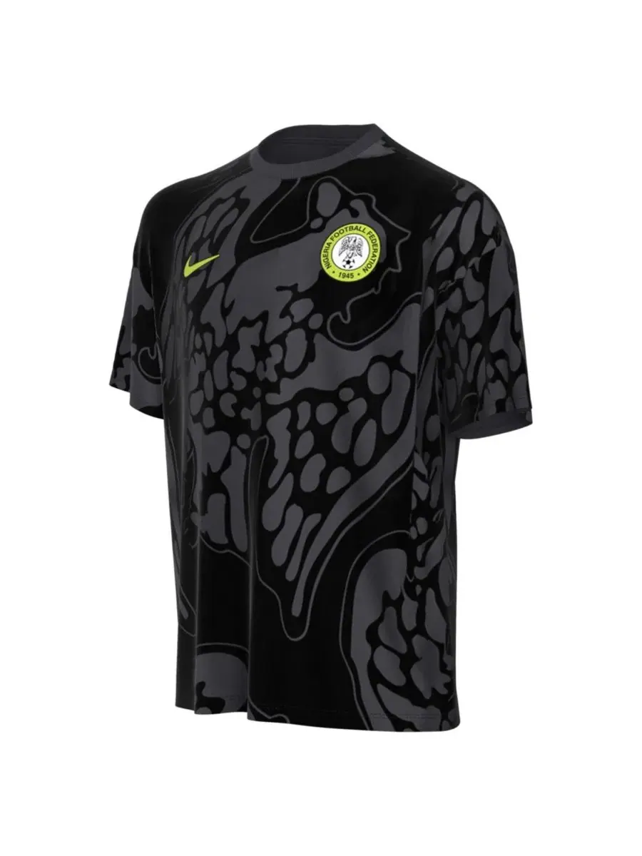 Футболка с принтом Nigeria National Team Nike — изображение 2 из 3, серый