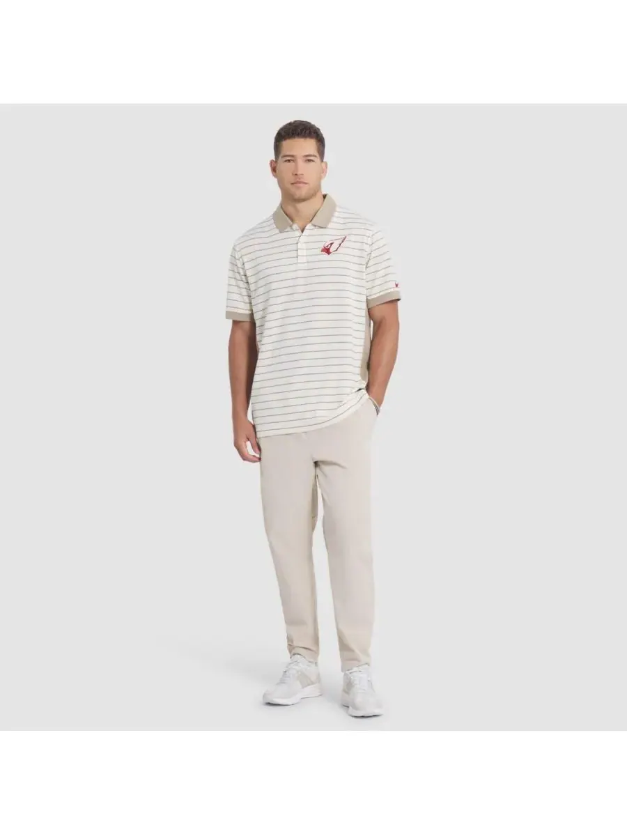 Мужская поло-рубашка Natural Arizona Cardinals 2025 Rivalries Collection Sideline Victory Striped — изображение 3 из 3