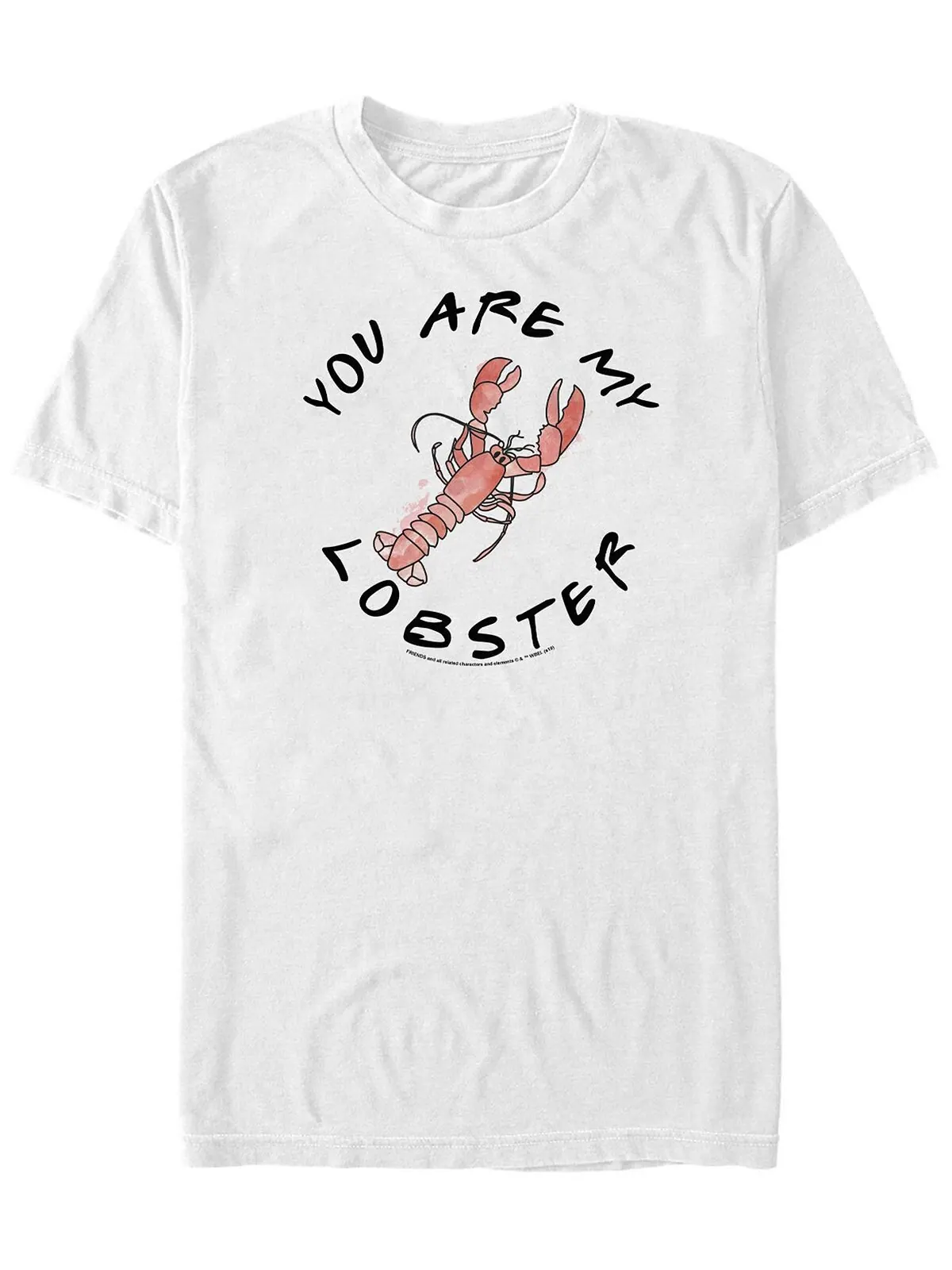 Мужская футболка с коротким рукавом с текстом you are my lobster friends Fifth Sun — изображение 1 из 1, белый