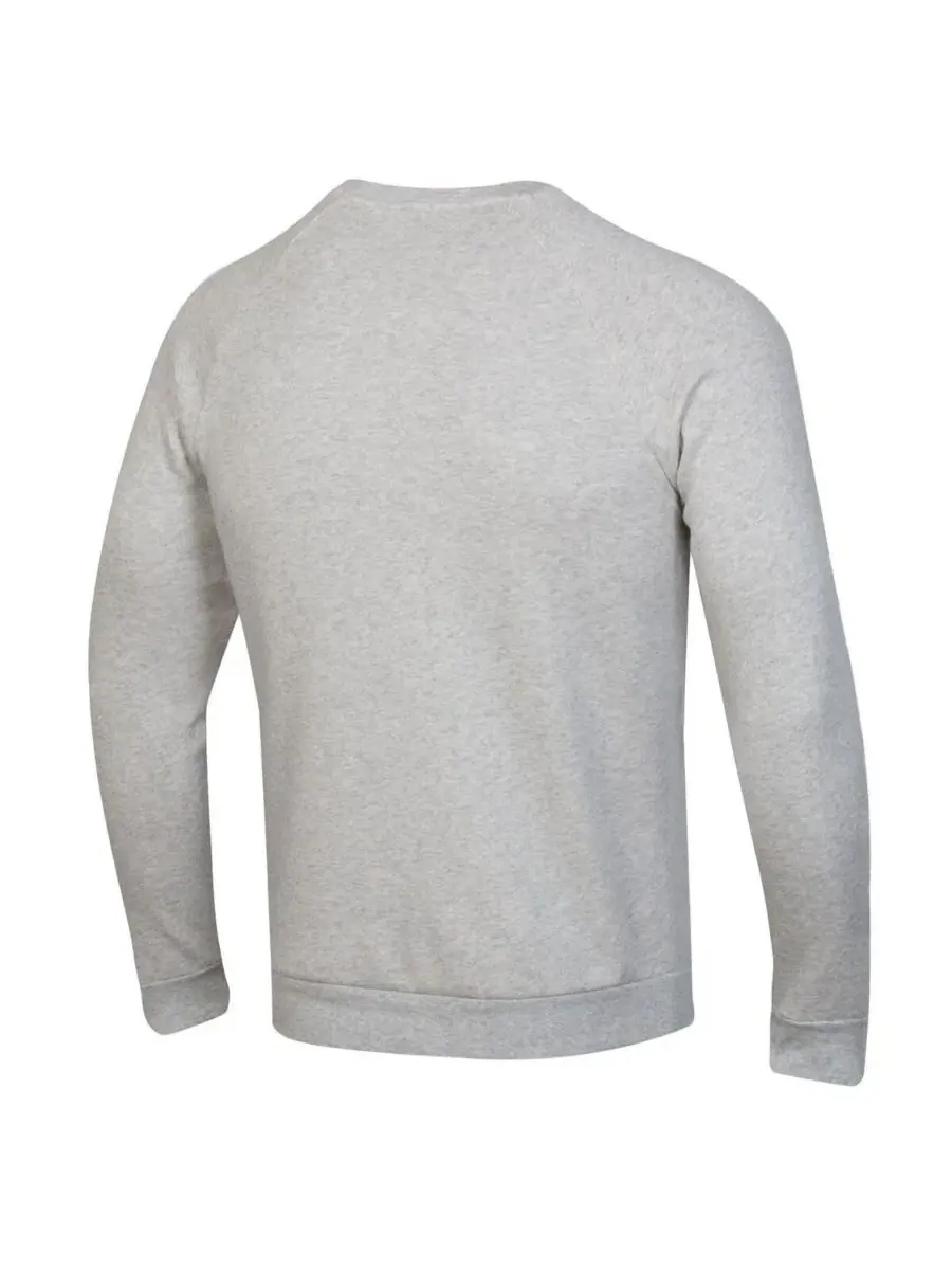 Свитшот с флисовой подкладкой и реглан-рукавами Leprechaun Rival Raglan Under Armour — изображение 2 из 3, серый