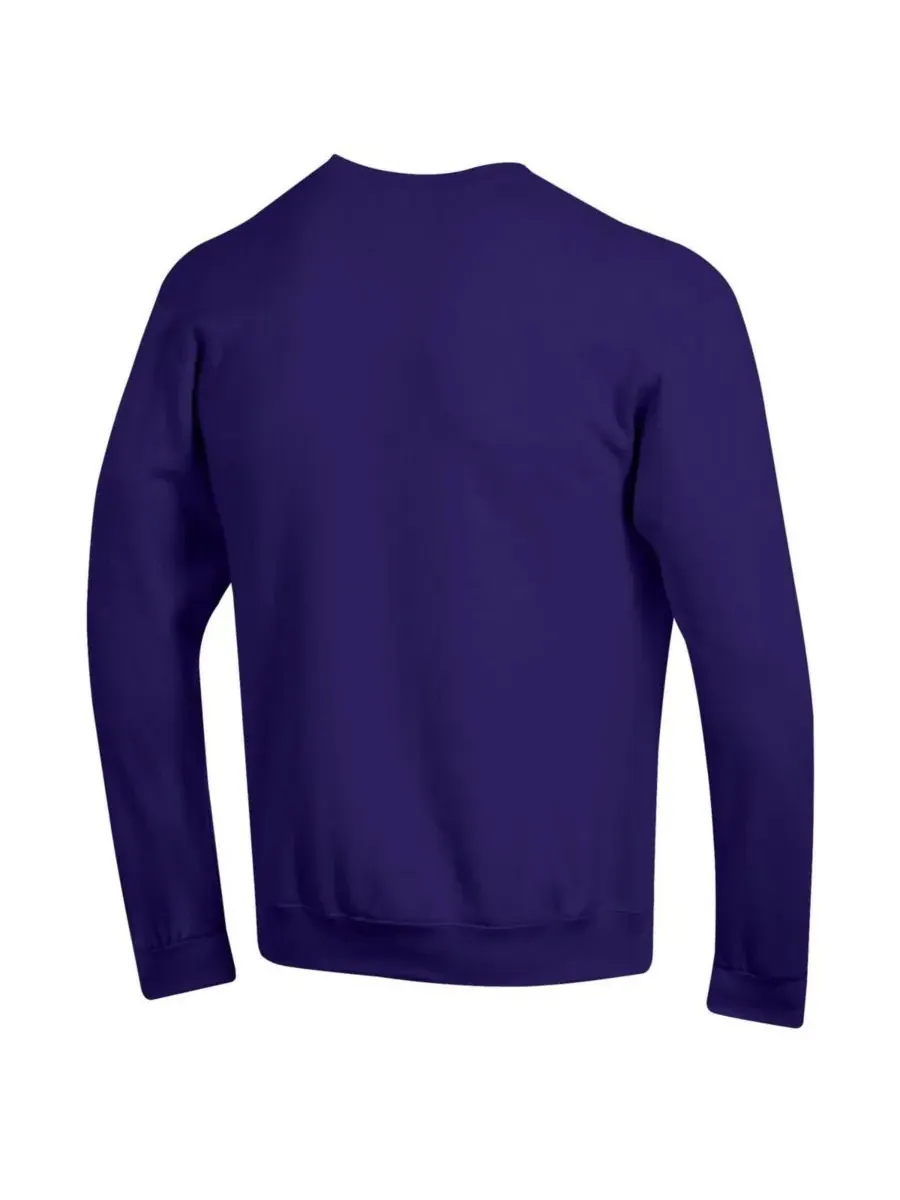 Champion Мужская фиолетовая флисовая толстовка Northwestern Wildcats Basic Arch — изображение 2 из 3, фиолетовый