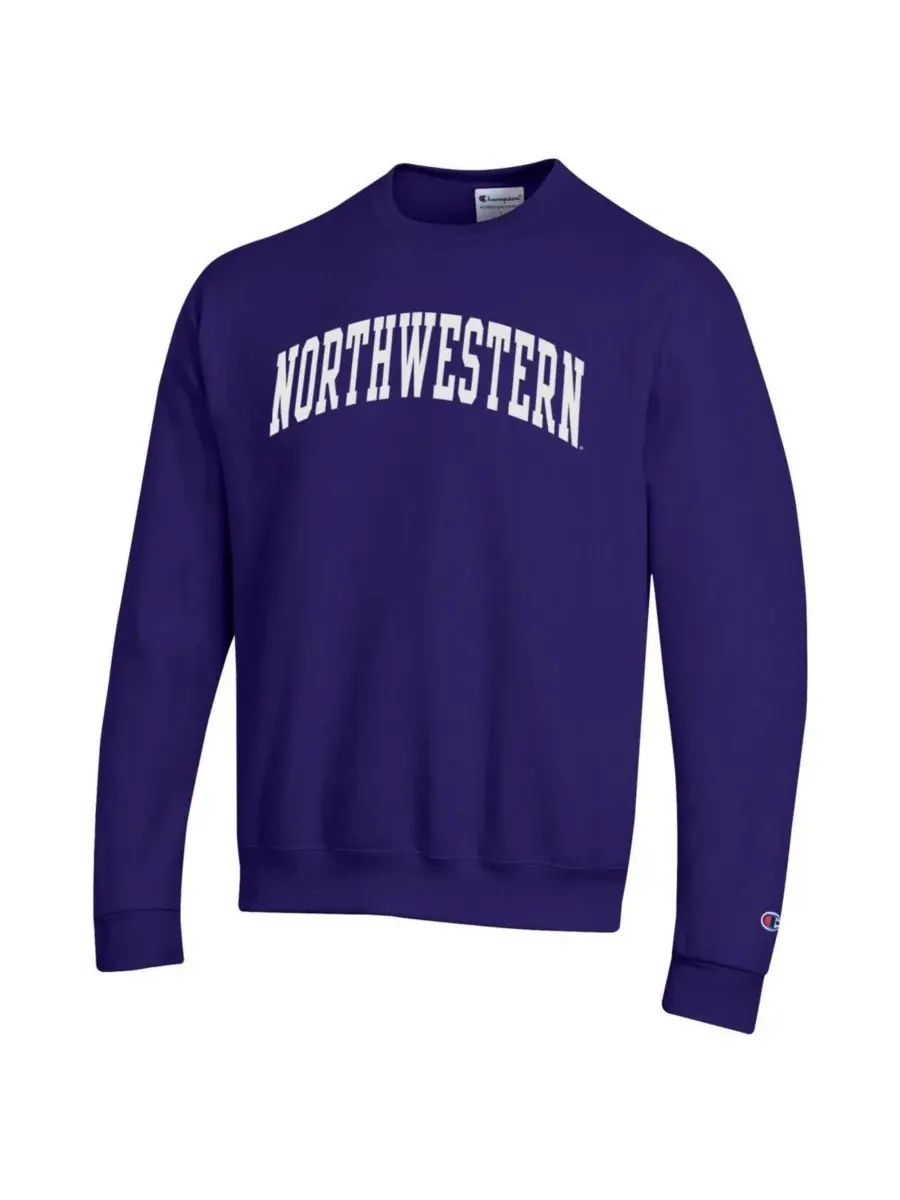 Champion Мужская фиолетовая флисовая толстовка Northwestern Wildcats Basic Arch — изображение 3 из 3, фиолетовый