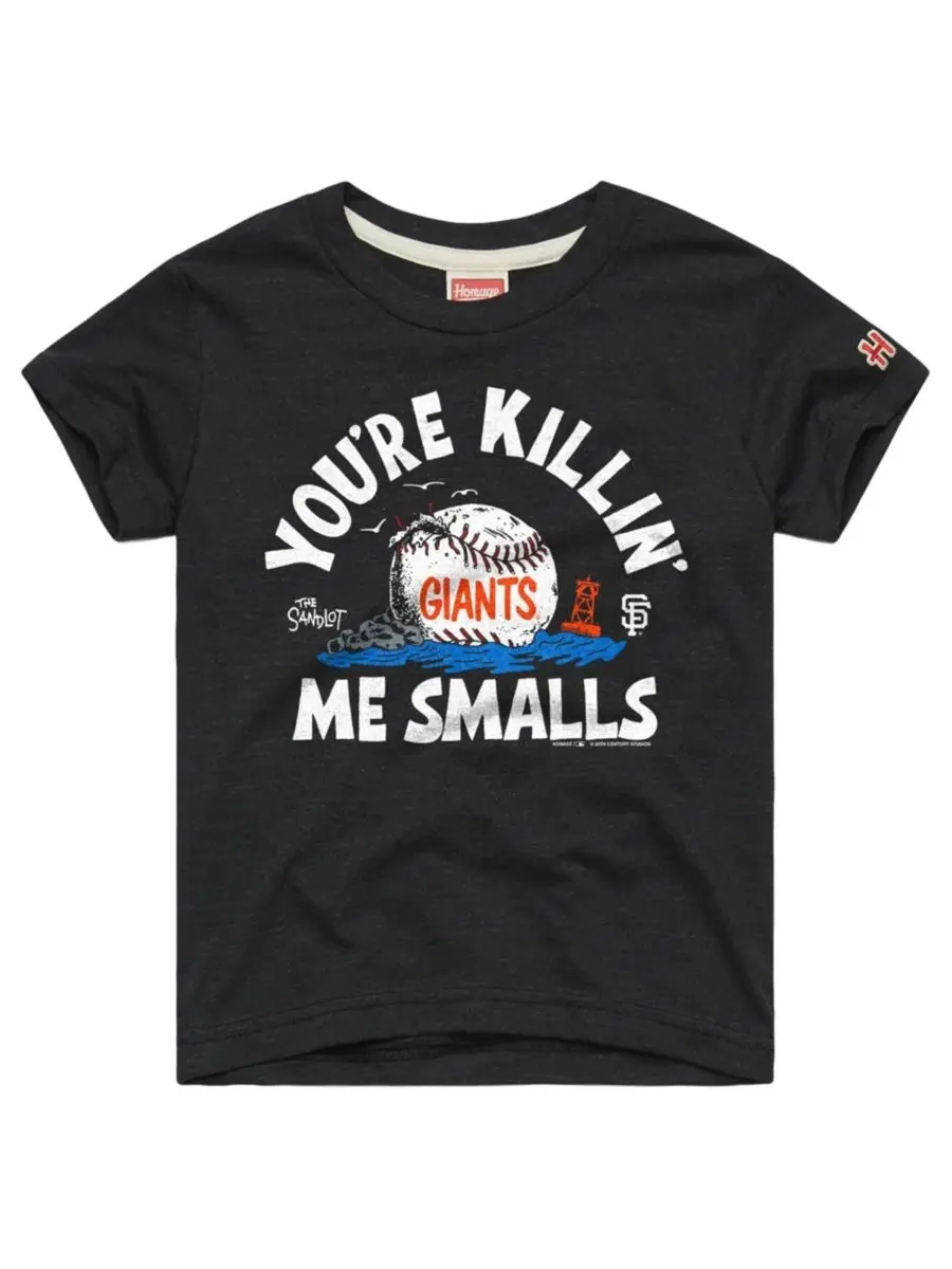 Футболка с принтом The Sandlot x San Francisco Giants Homage — изображение 1 из 1, темно-серый