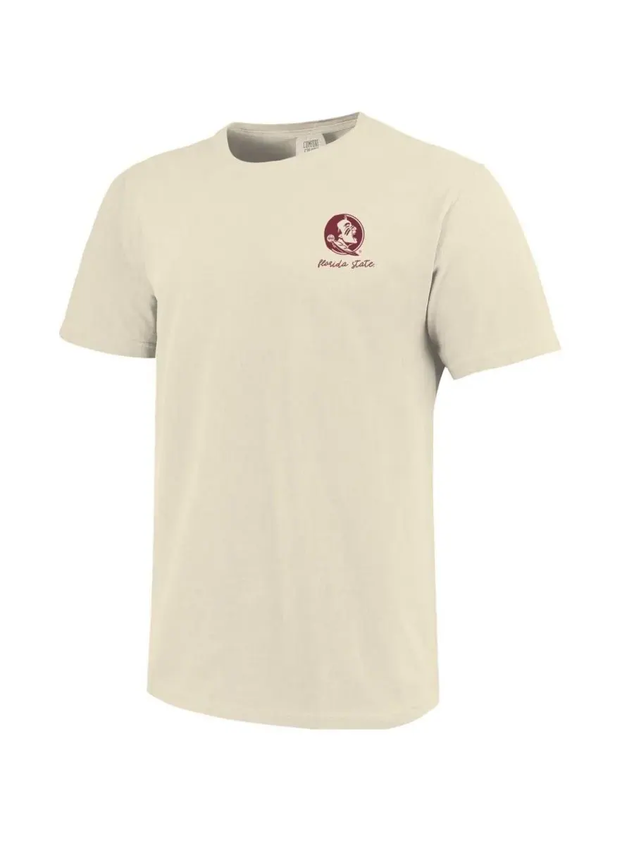 Женская натуральная футболка Florida State Seminoles Coquette Comfort Colors — изображение 3 из 3, прозрачный