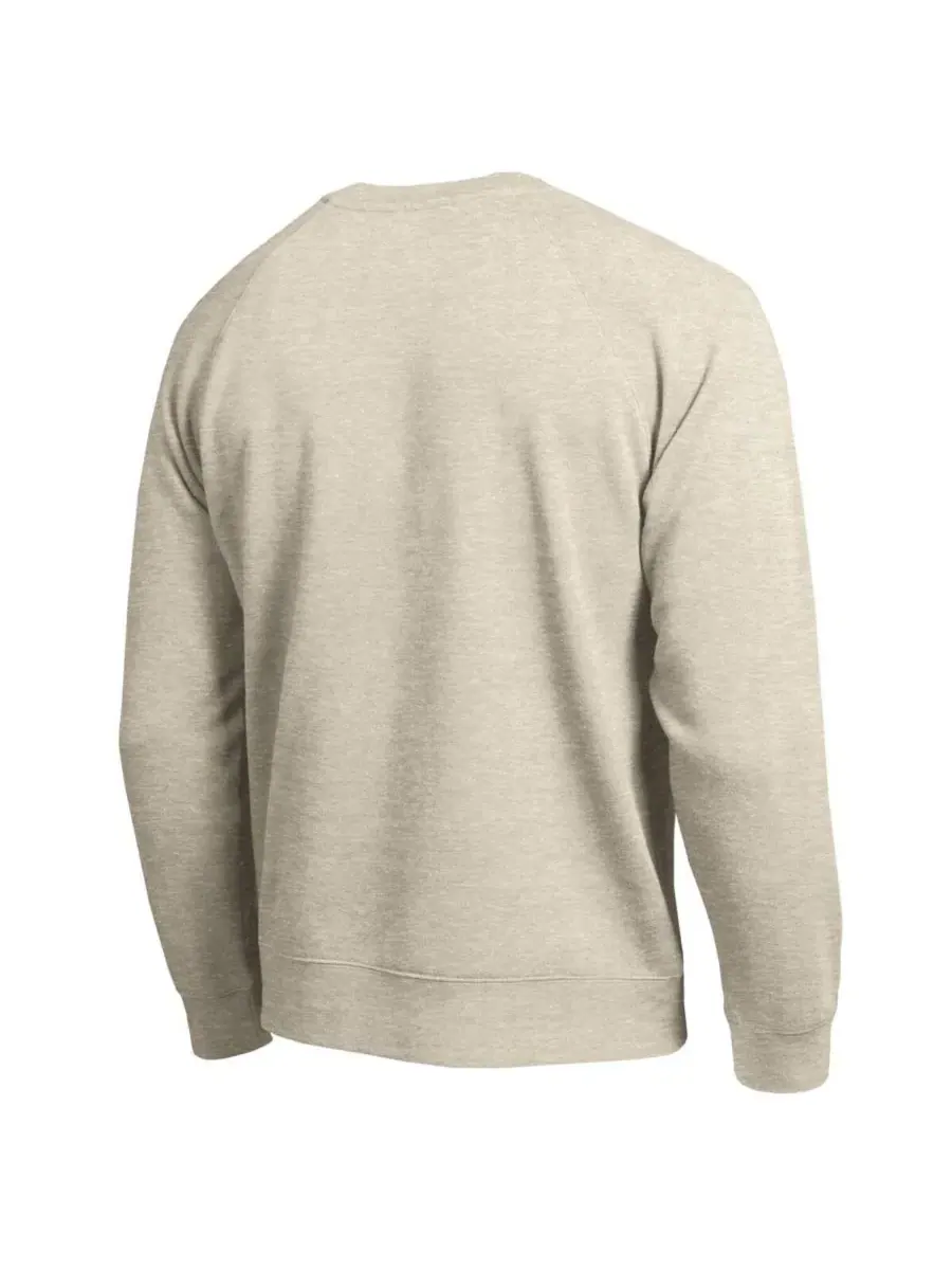 Свитшот реглан с фетровым принтом All-Star Soft Felt Raglan Champion — изображение 3 из 3, овсяный