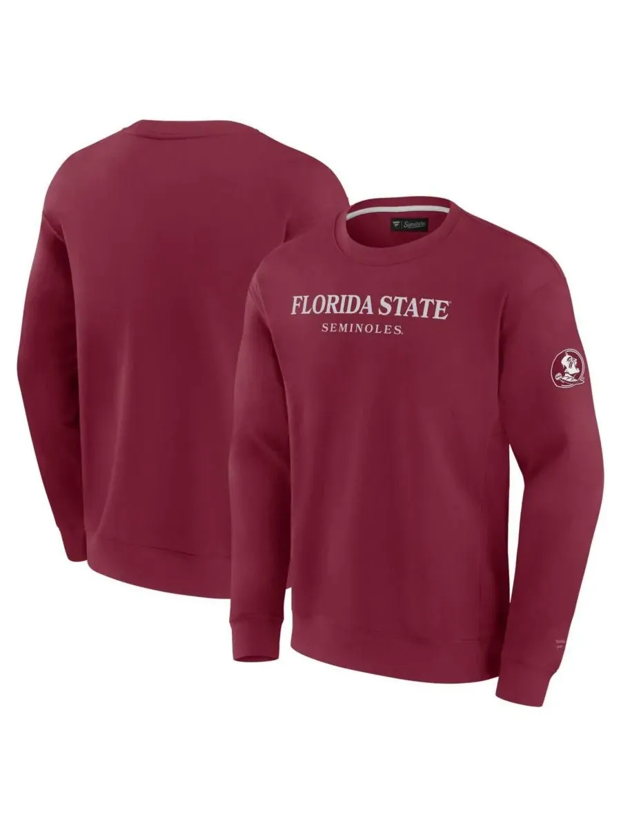 Мужская толстовка с принтом «Гранат» команды Florida State Seminoles Unlimited Fanatics — изображение 1 из 3