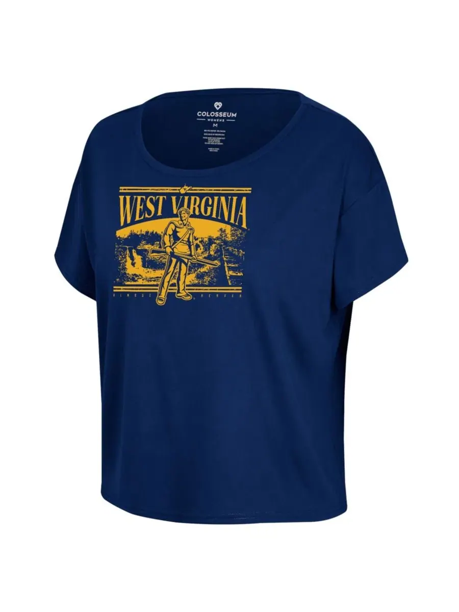 Футболка с принтом West Virginia Mountaineers Colosseum — изображение 3 из 3, темно-синий
