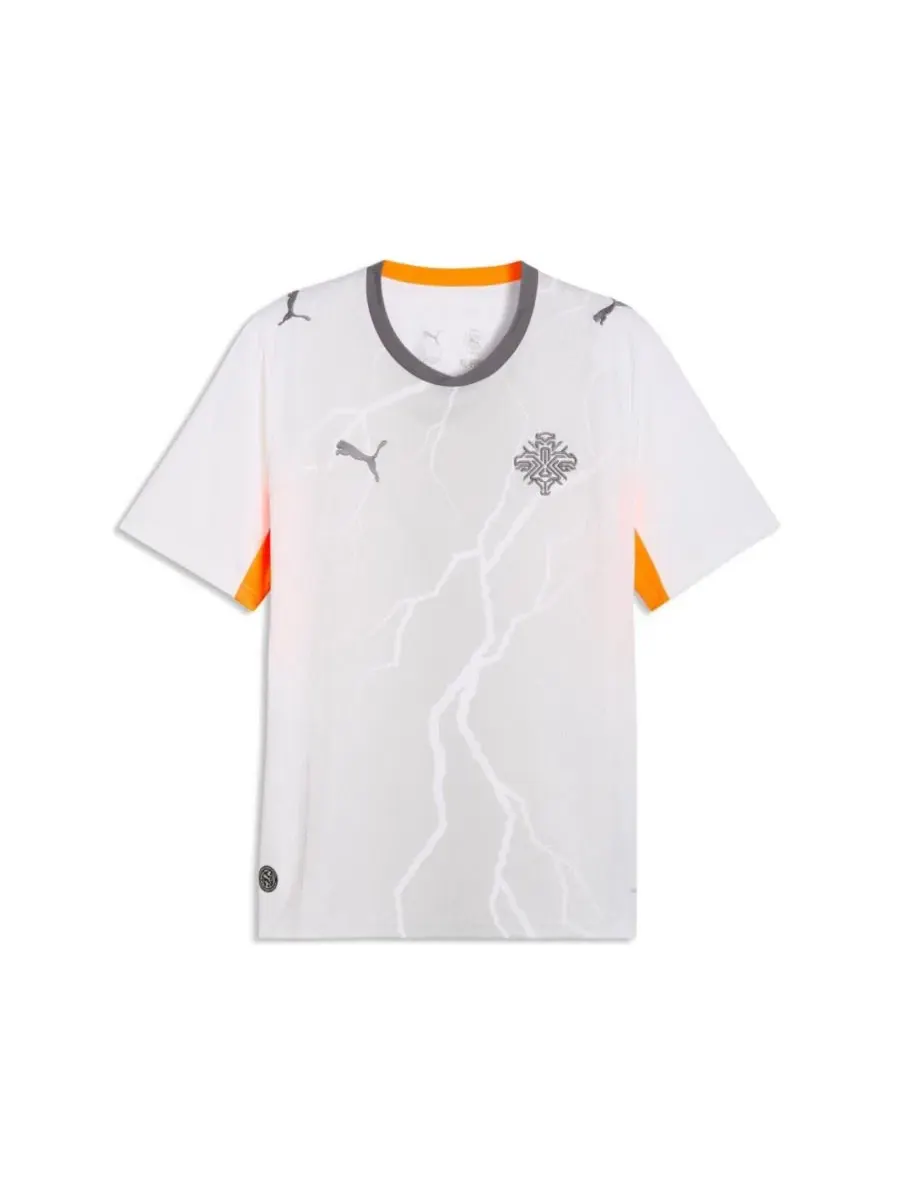 Футболка-реплика Puma Iceland National Team 2026 Away Replica Jersey — изображение 2 из 5, белый серый