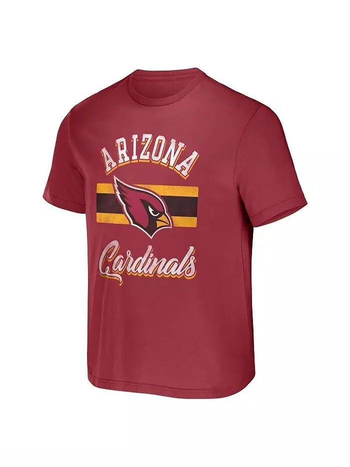 Мужская футболка в полоску Cardinal Arizona Cardinals NFL x Darius Rucker Collection Fanatics — изображение 2 из 3