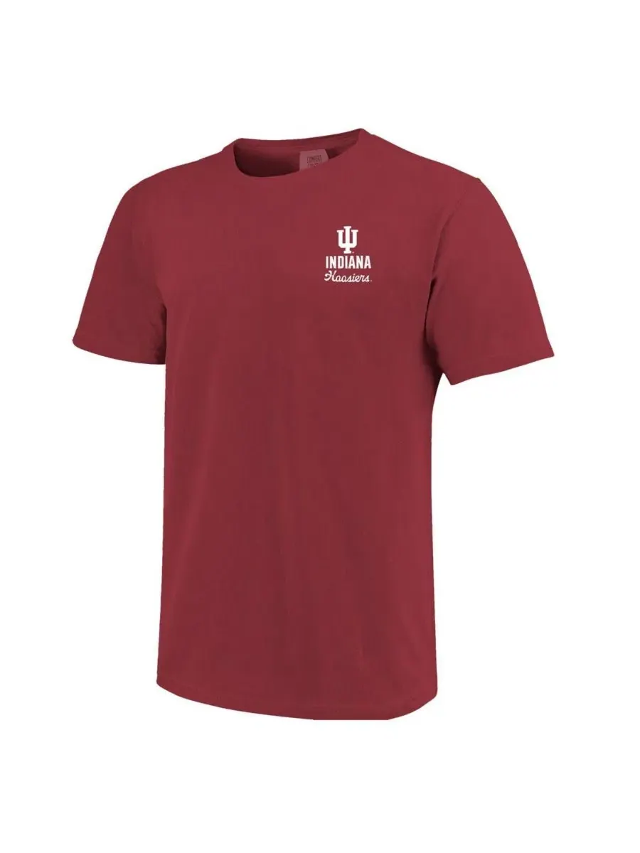 Футболка с винтажным принтом Indiana Hoosiers Image One — изображение 3 из 3, красный