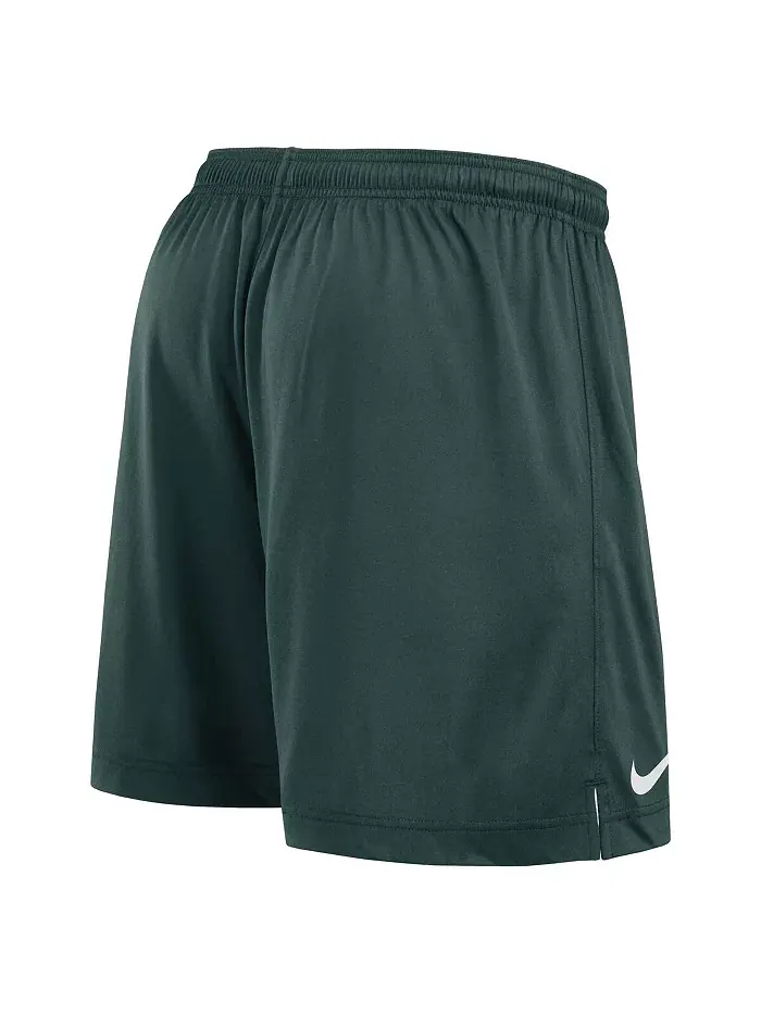 Мужские бело-зеленые реверсивные шорты для тренировок Michigan State Spartans Primetime Nike — изображение 3 из 5