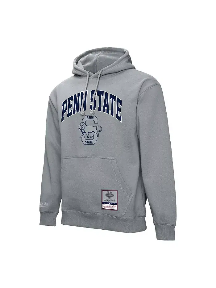 Мужская худи классического кроя с арочным принтом Penn State Nittany Lions цвета хизер-серый — изображение 3 из 3