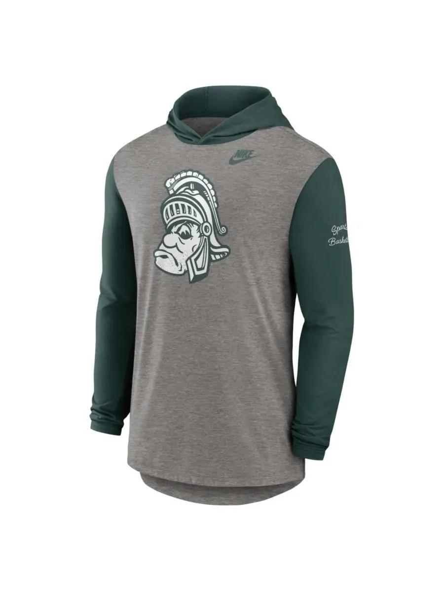 Футболка с капюшоном и длинным рукавом Michigan State Spartans Campus Legacy Nike — изображение 3 из 3, серый