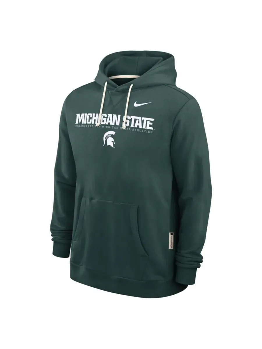 Худи с флисом и технологией Dri-FIT, модель Sideline Standard Issue Nike — изображение 5 из 5, зеленый