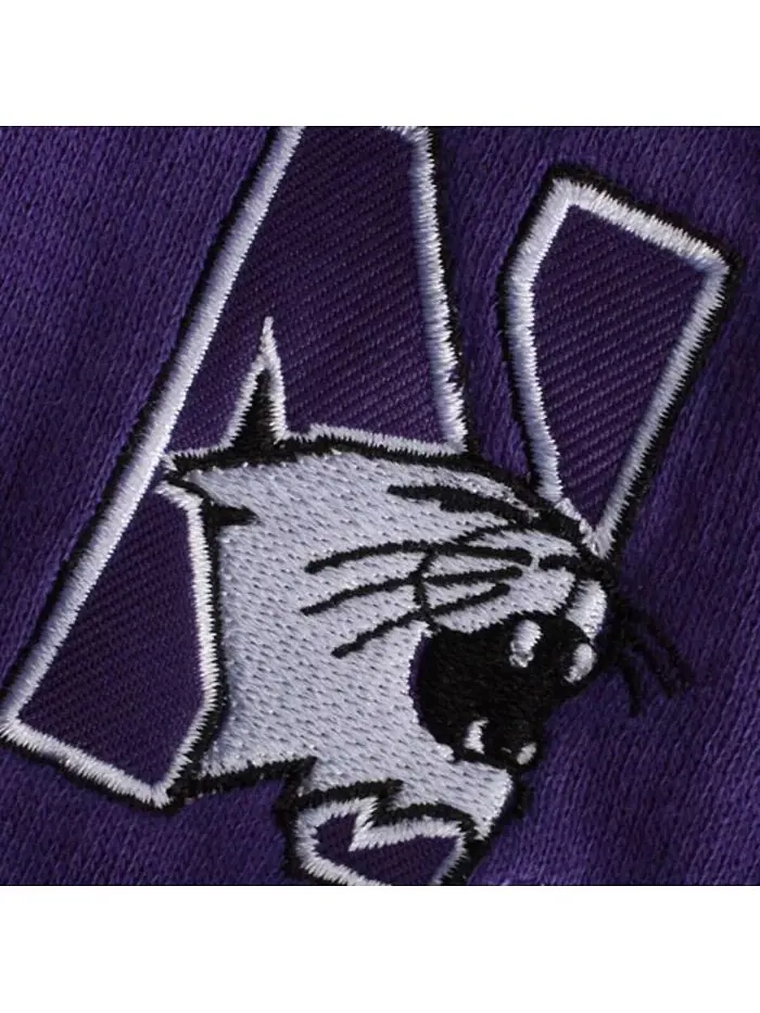 Женская фиолетовая толстовка с капюшоном и молнией Northwestern Wildcats с арочным названием — изображение 3 из 3