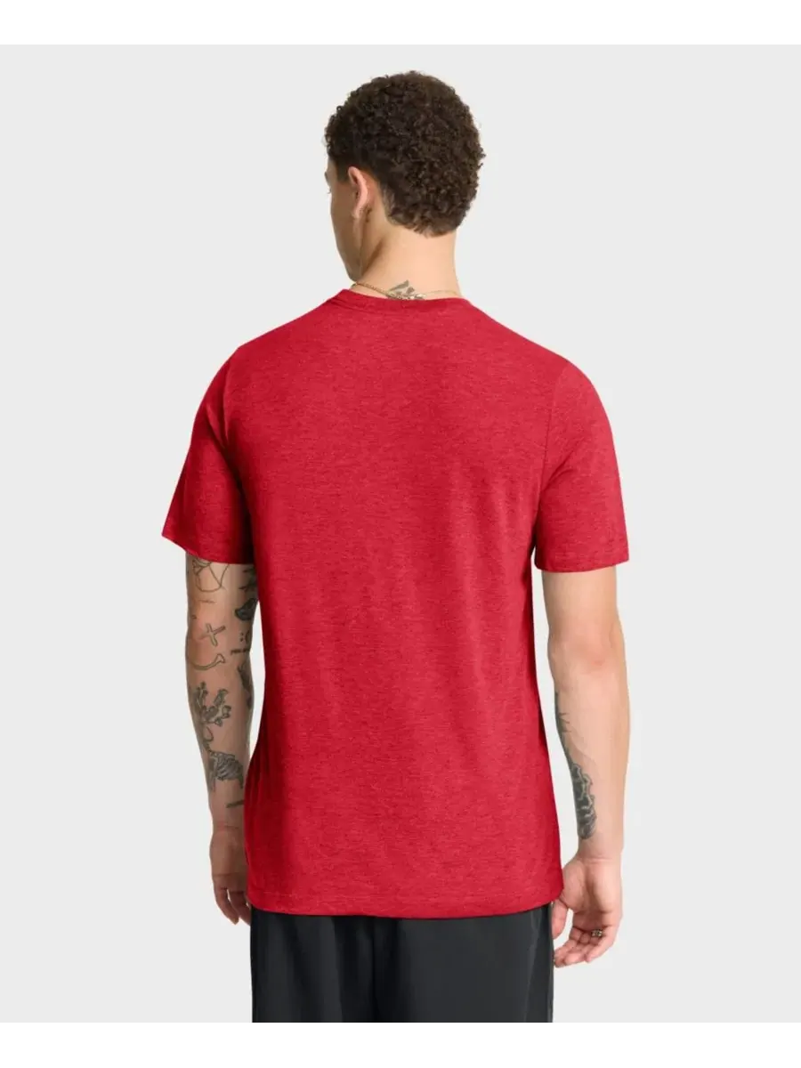 Футболка с длинным рукавом Nike Ohio State Buckeyes Legacy Mantra — изображение 4 из 4, алый