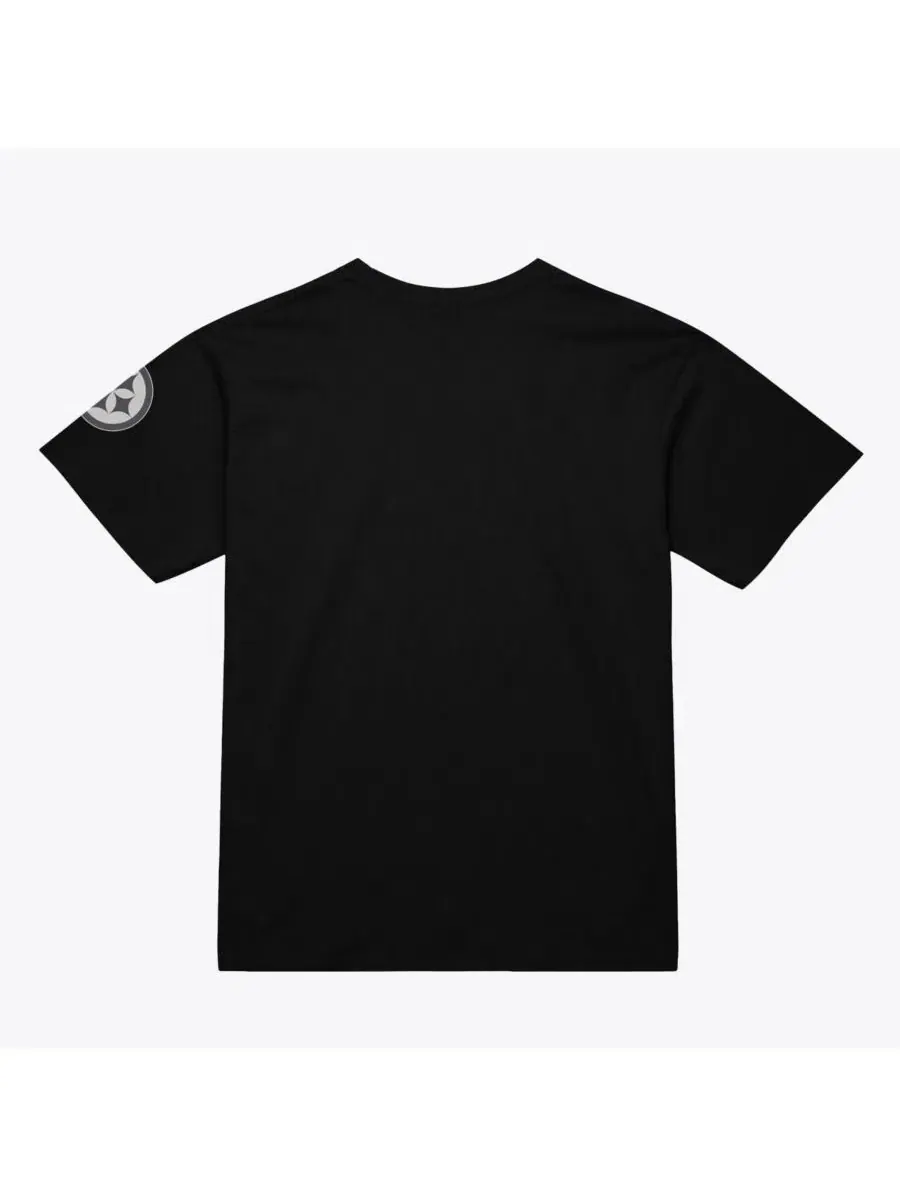 Футболка с коротким рукавом и принтом Pittsburgh Steelers Head Coach Classic Mitchell & Ness — изображение 2 из 2, черный