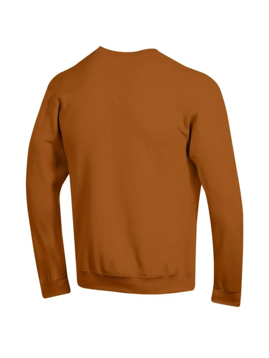 Толстовка Champion Basic Arch Fleece Pullover с принтом, Texas Longhorns — изображение 3 из 3, оранжевый
