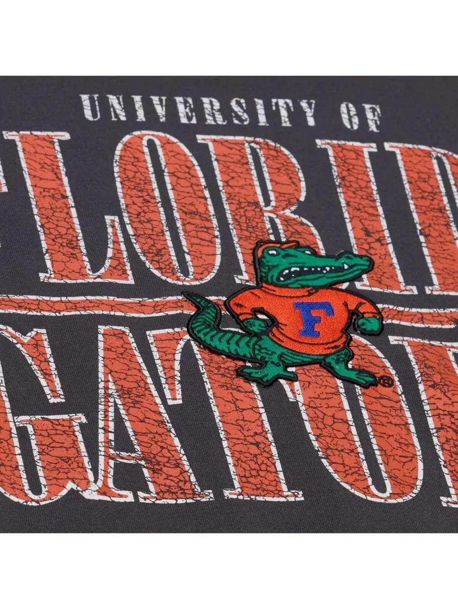 Mitchell & Ness Мужская черная флисовая толстовка Florida Gators Downtown — изображение 3 из 4, черный