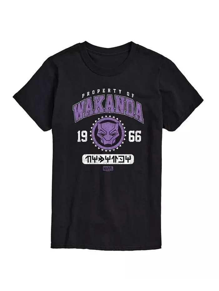 Мужская футболка с коротким рукавом Black Panther Wakanda AIRWAVES — изображение 1 из 3