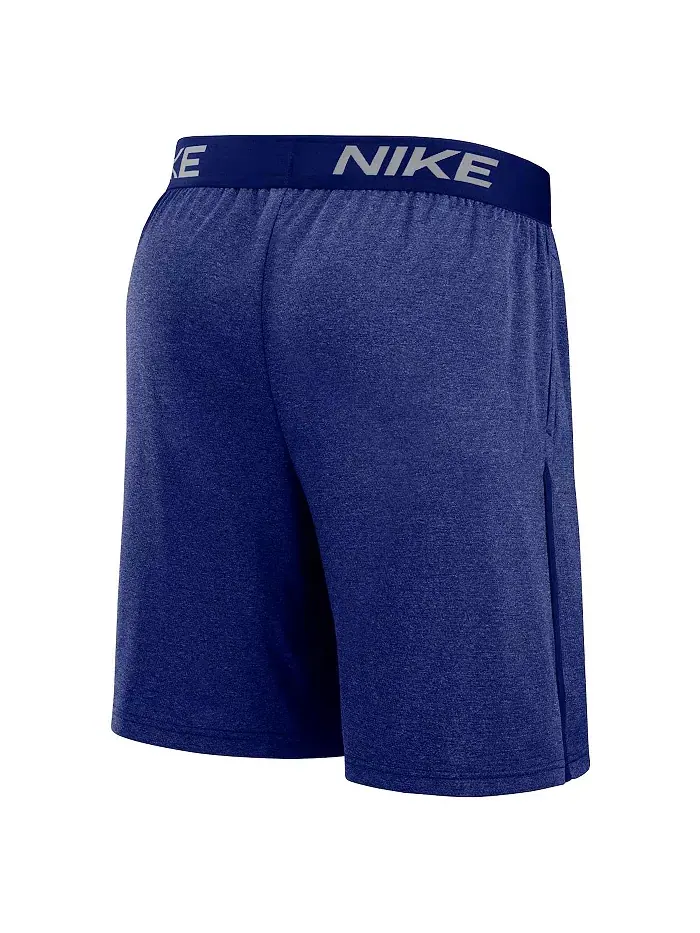 Мужские шорты Performance Knit из коллекции Authentic Collection Royal Texas Rangers Nike — изображение 3 из 3