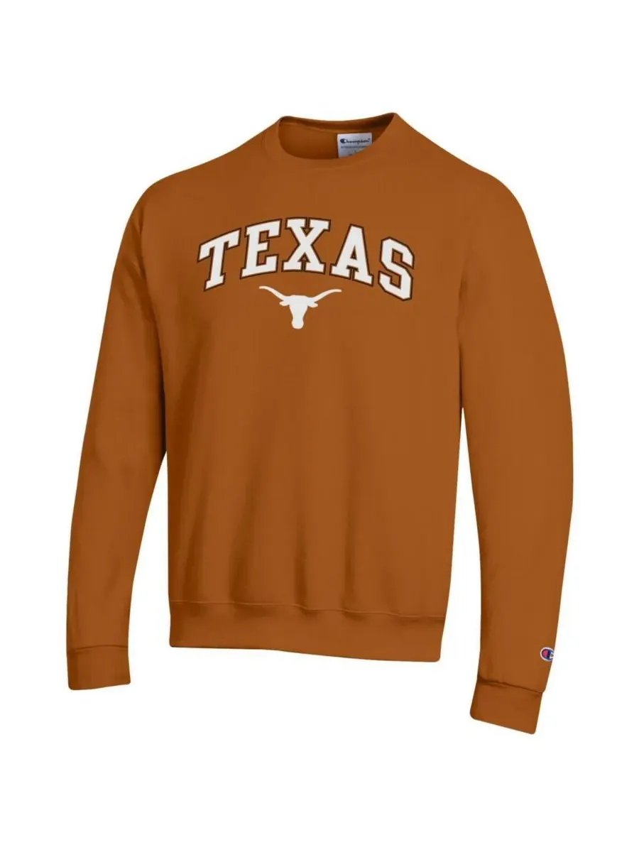 Champion Мужская толстовка с оранжевым логотипом команды Texas Longhorns Arch Over Logo — изображение 2 из 3, оранжевый