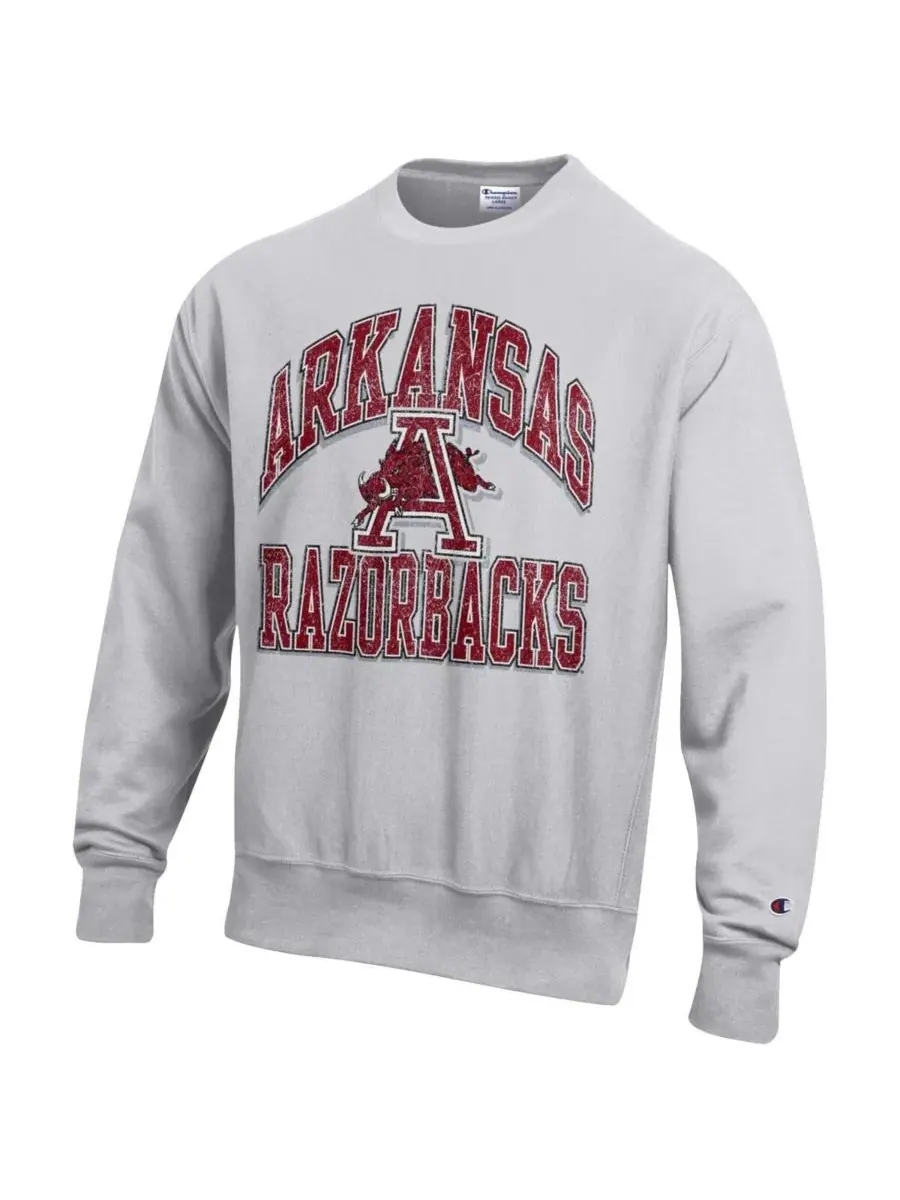 Champion Мужская серая толстовка с круглым вырезом и логотипом Arkansas Razorbacks с эффектом — изображение 2 из 3, серый