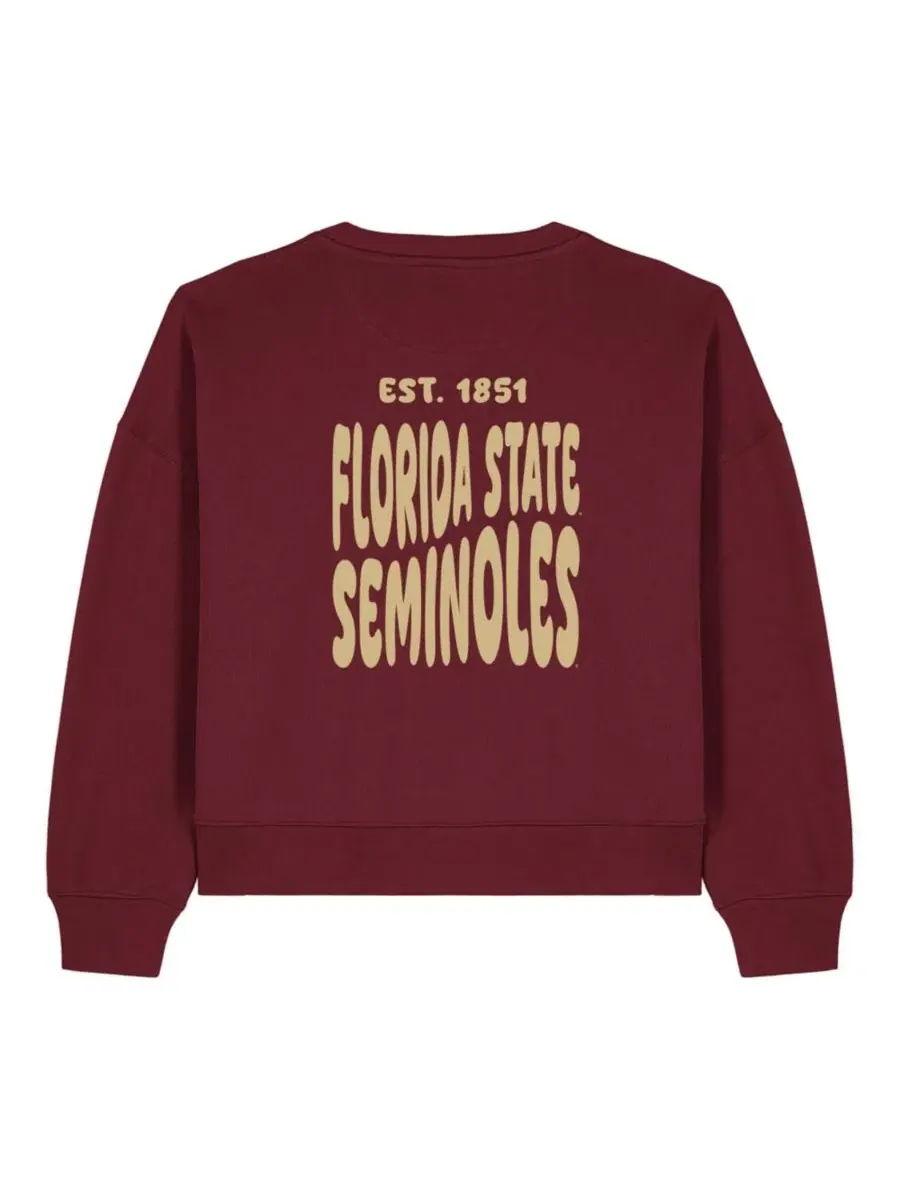 Женский свитшот с флисовой подкладкой Cloud Florida State Seminoles Uscape Apparel — изображение 3 из 4, гранат
