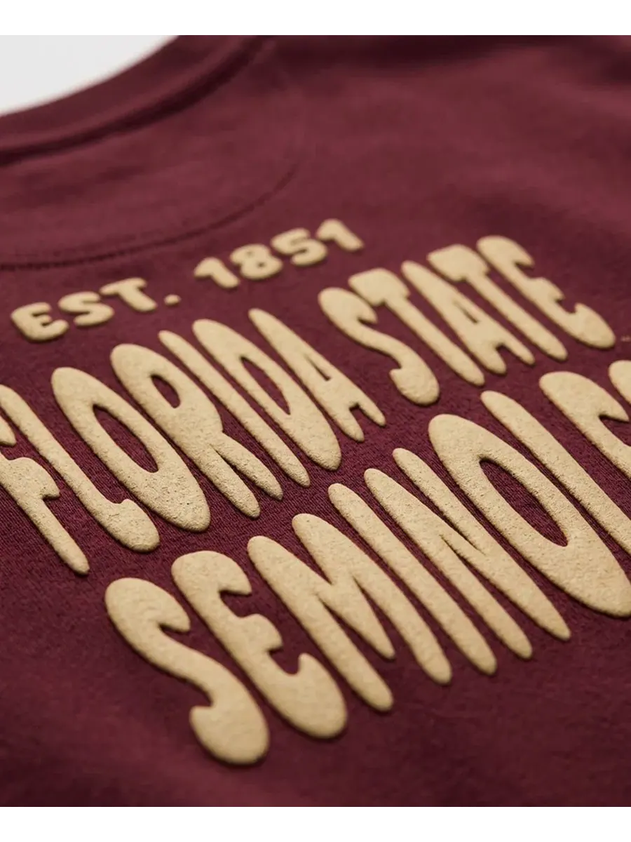 Женский свитшот с флисовой подкладкой Cloud Florida State Seminoles Uscape Apparel — изображение 4 из 4, гранат