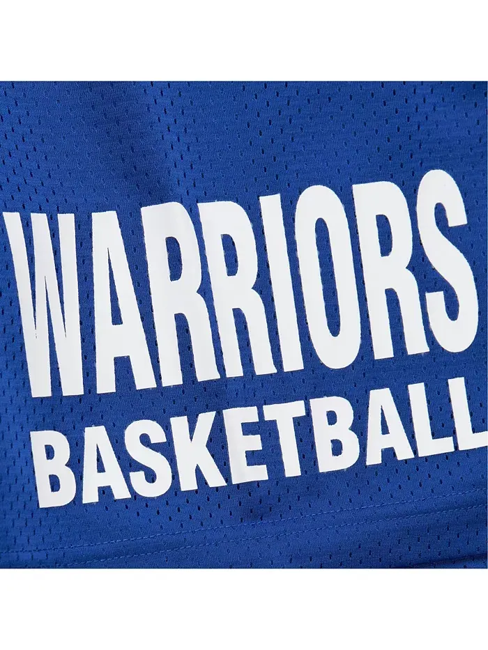 Мужские шорты Golden State Warriors Hardwood Classics Gameday из сетчатой ткани Mitchell & Ness — изображение 2 из 5