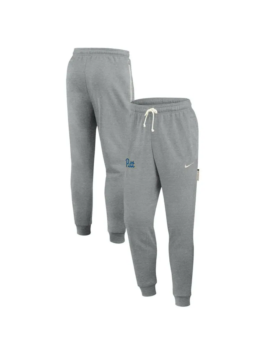 Nike Мужские спортивные брюки Pitt Panthers 2025 Sideline Standard Issue Dri-FIT Taper серого
