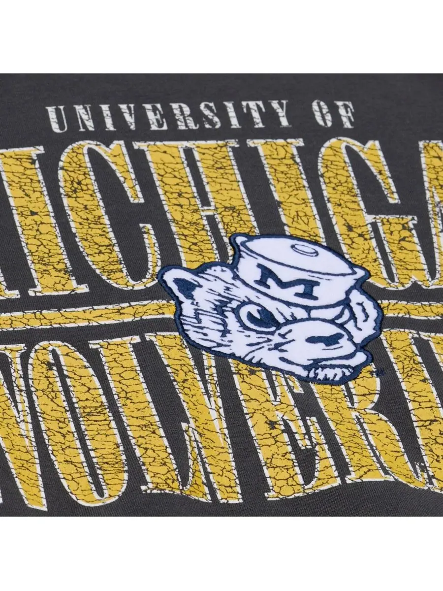 Mitchell & Ness Мужская черная флисовая толстовка Michigan Wolverines Downtown — изображение 3 из 4, черный