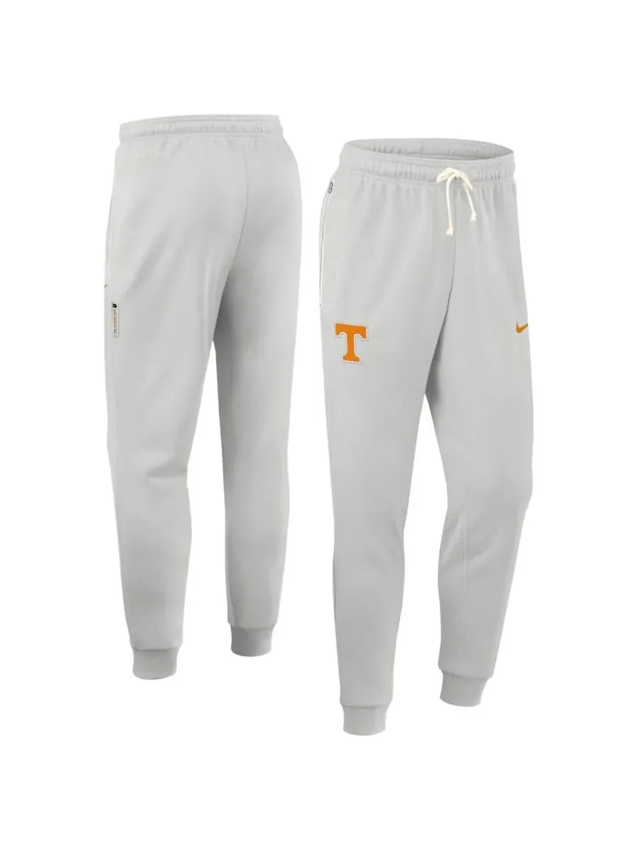 Nike Мужские серые брюки Tennessee Volunteers 2025 Sideline Standard Issue Dri-FIT Taper Pants — изображение 4 из 5, серый