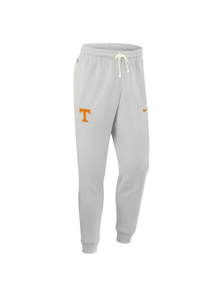 Nike Мужские серые брюки Tennessee Volunteers 2025 Sideline Standard Issue Dri-FIT Taper Pants — изображение 5 из 5, серый