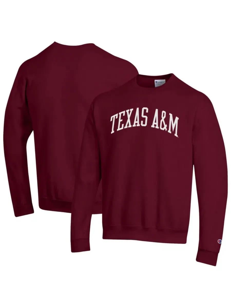Флисовая толстовка Champion с принтом Texas A&M Aggies — изображение 1 из 3, коричневый