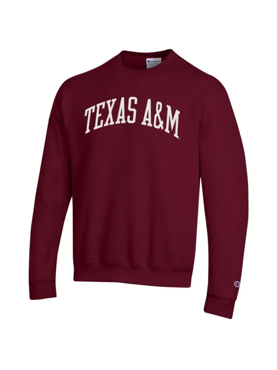 Флисовая толстовка Champion с принтом Texas A&M Aggies — изображение 3 из 3, коричневый