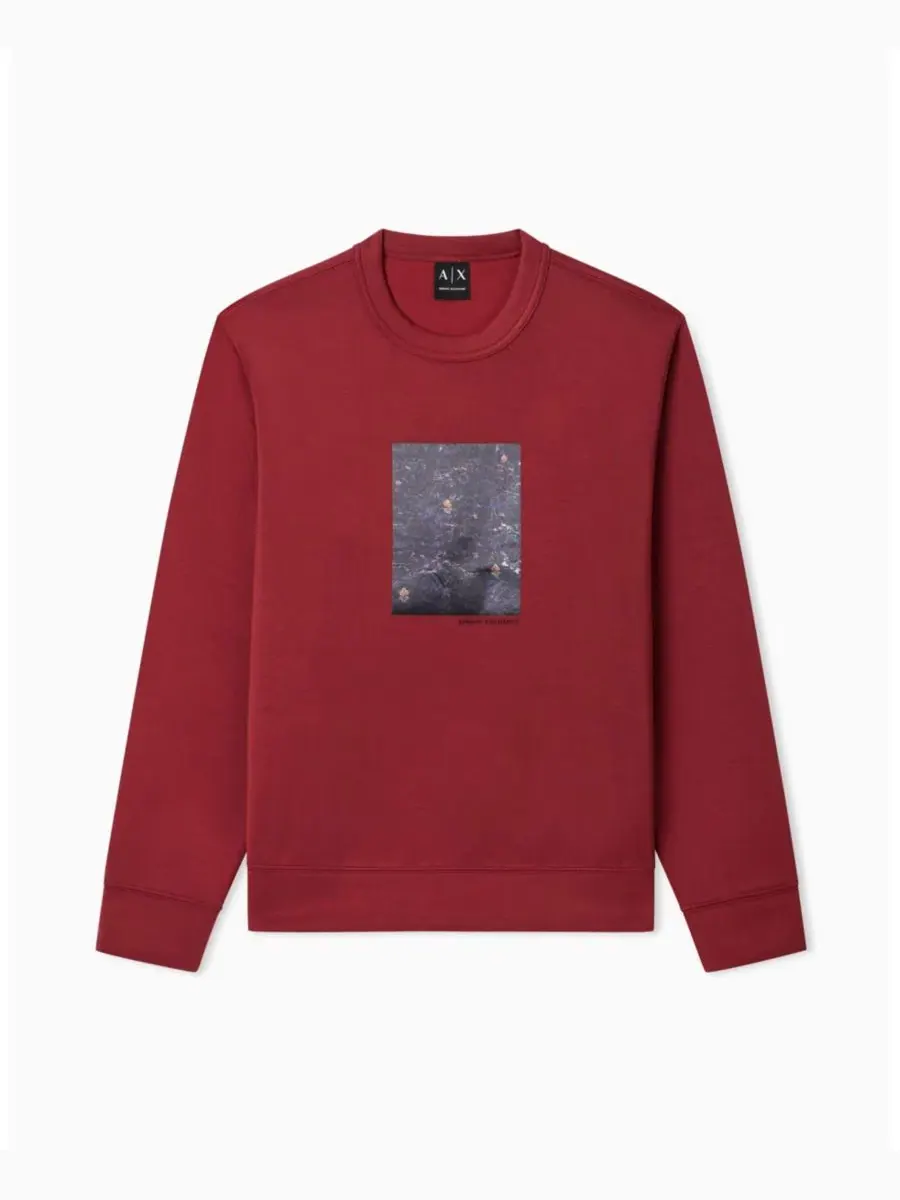 Мужская толстовка с круглым вырезом и цветочным принтом в коробке A|X Armani Exchange, Winery — изображение 5 из 5