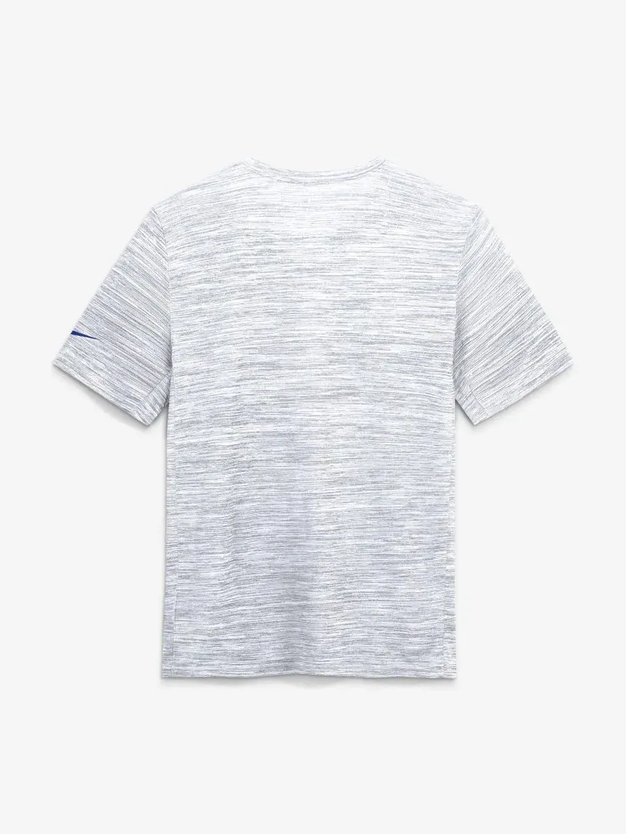 Футболка с принтом Velocity Endurance Run Dri-FIT Nike — изображение 3 из 5, пепельный