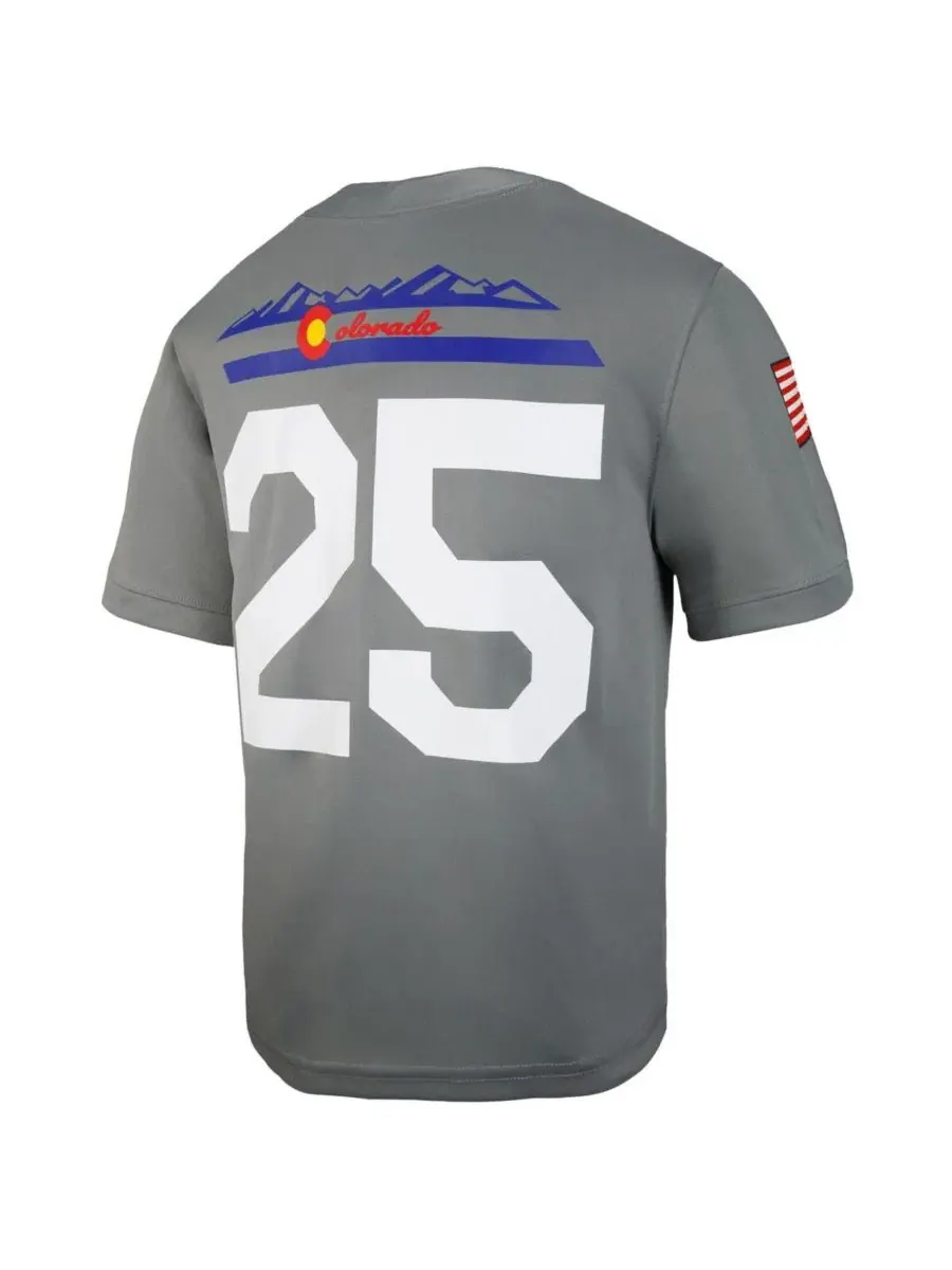 Футбольная джерси Air Force Falcons APLS Fighting Falcon Collection Nike — изображение 3 из 3, серый