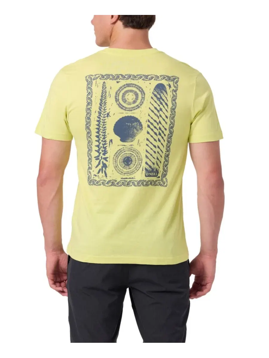 Футболка с принтом, модель Crewneck Graphic O'Neill, Celery — изображение 1 из 7