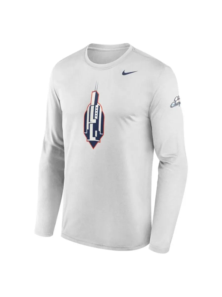 Футболка с длинным рукавом Chicago to Champaign Illinois Nike — изображение 1 из 1, серый