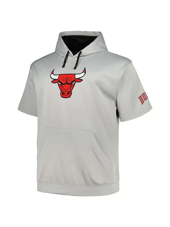Мужская толстовка с капюшоном Chicago Bulls Big and Tall Logo, серебристая Fanatics — изображение 3 из 3