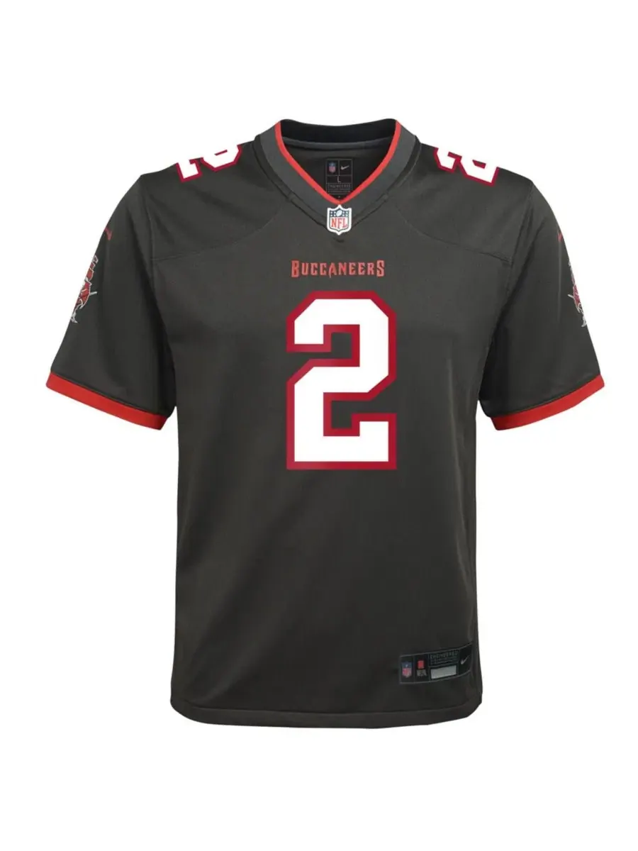 Детская футболка с коротким рукавом Emeka Egbuka Alternate Game Jersey Nike — изображение 2 из 3, серебристый