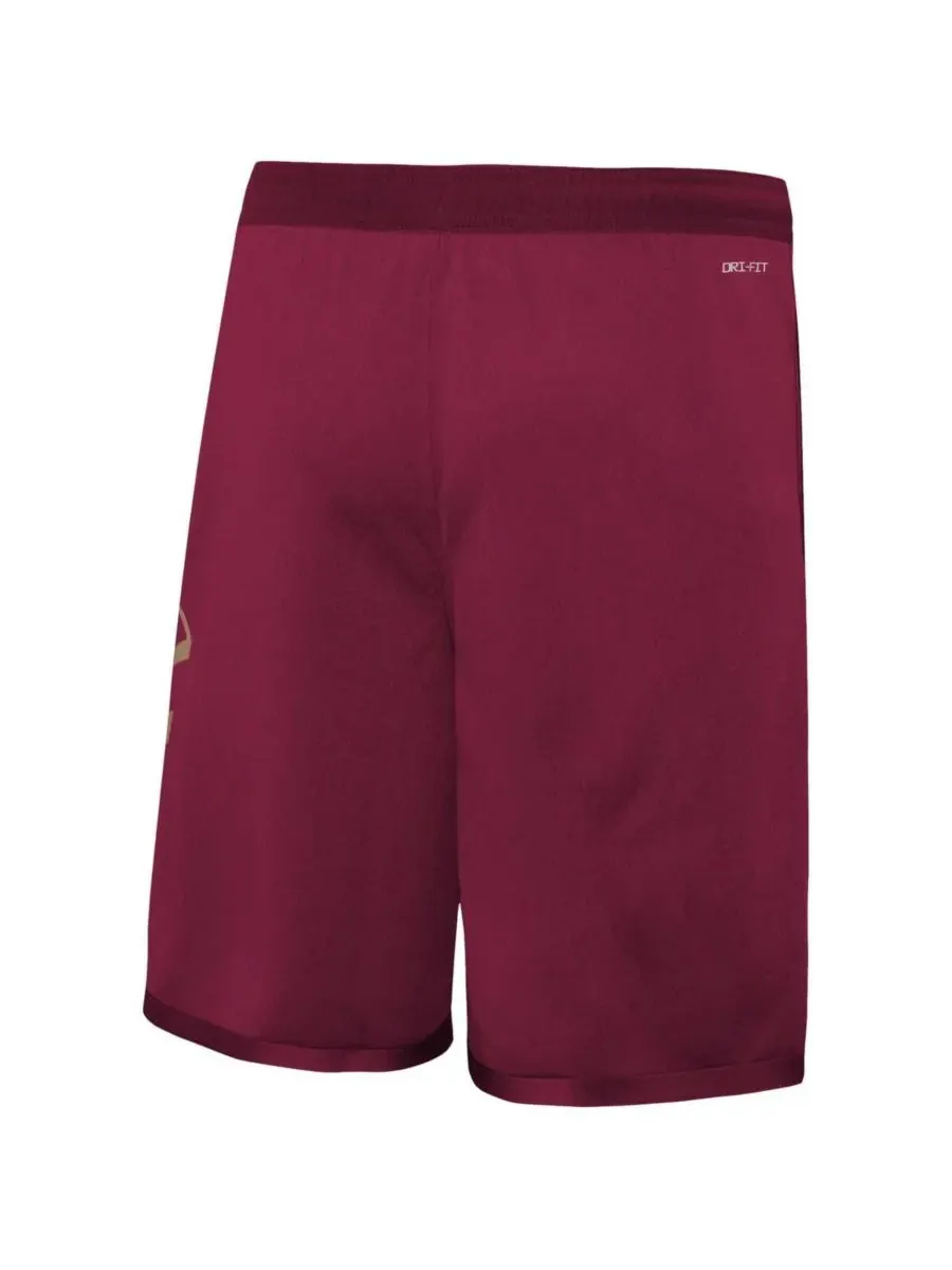 Шорты Big Boys Wine Cleveland Cavaliers Icon Edition Mesh Performance Swingman Shorts Nike — изображение 2 из 3, красный