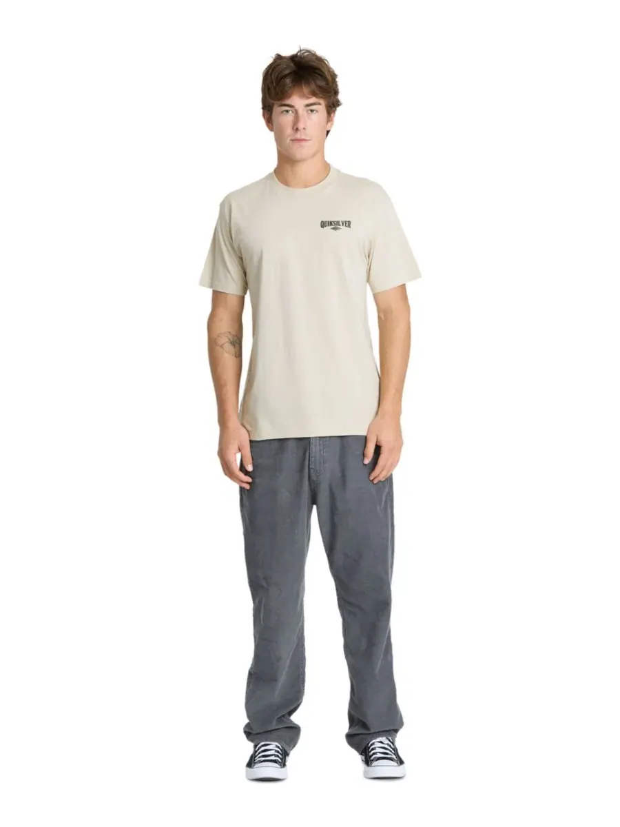 Футболка мужская с коротким рукавом Dolby Crewneck Quiksilver, Peyote — изображение 2 из 4