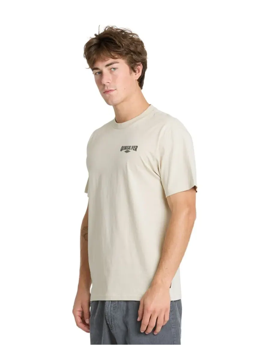 Футболка мужская с коротким рукавом Dolby Crewneck Quiksilver, Peyote — изображение 3 из 4