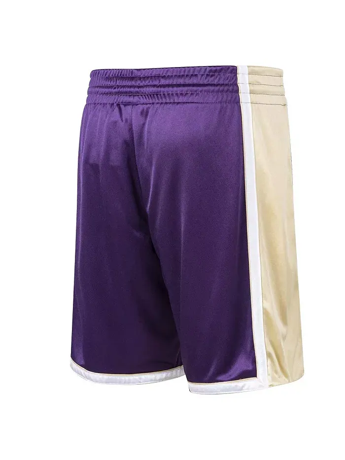 Мужские шорты Los Angeles Lakers Hardwood Classics в фиолетовом цвете, посвященные зачислению Коби — изображение 2 из 4