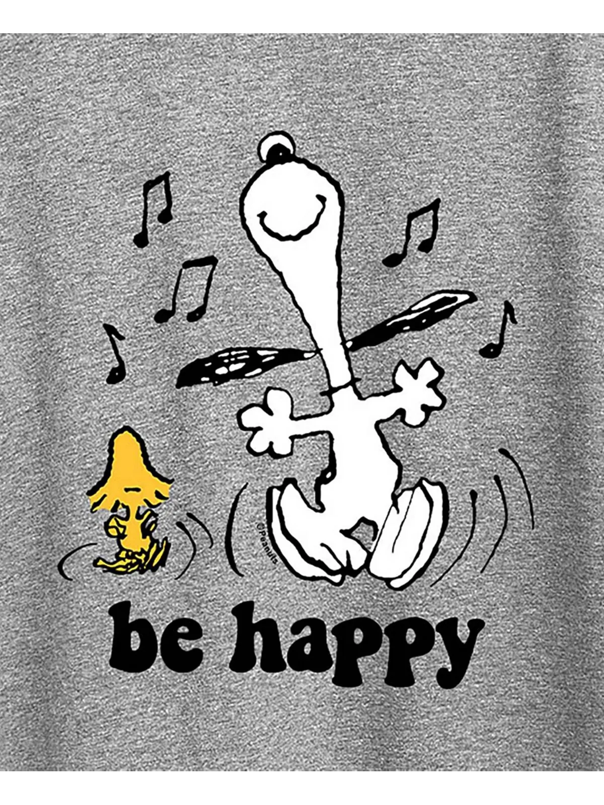 Модная футболка больших размеров с рисунком Snoopy Air Waves — изображение 3 из 3, серый