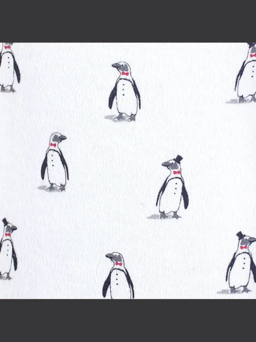 Набор из 5 удобных хлопковых боди Hudson Baby, Penguin 1 — изображение 2 из 2